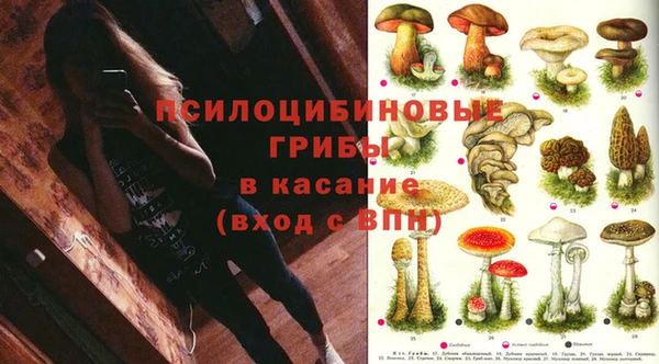 хмурый Балабаново