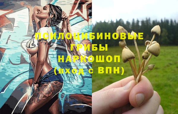 хмурый Балабаново